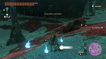 Nintendo/mh_1225_squall via Twitter