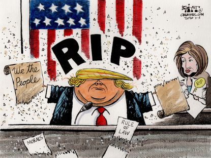 Political Cartoons U.S. Trump Pelosi ripped constitution speech