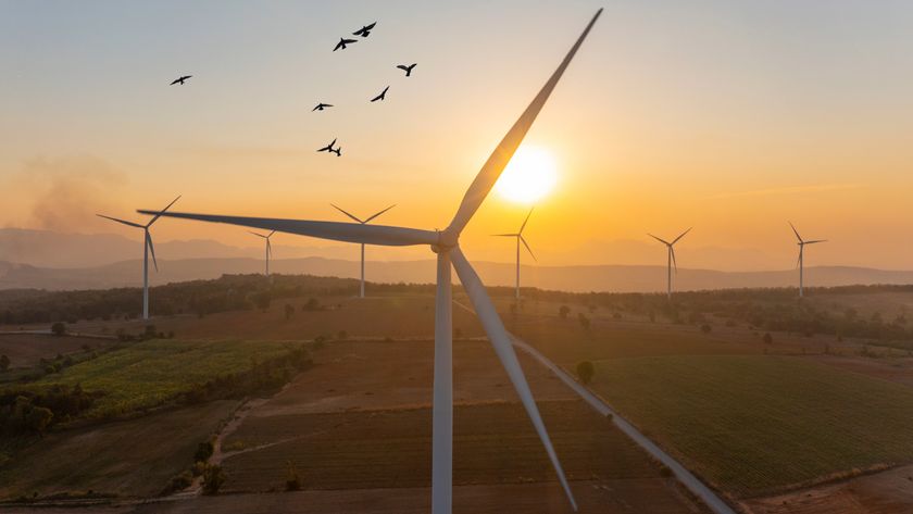 Wind turbines with a sunset and birds in the background