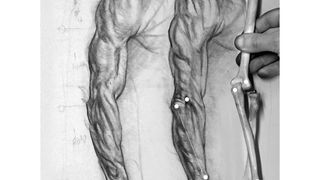 Two arms drawn in pencil and a hand holding a model bone
