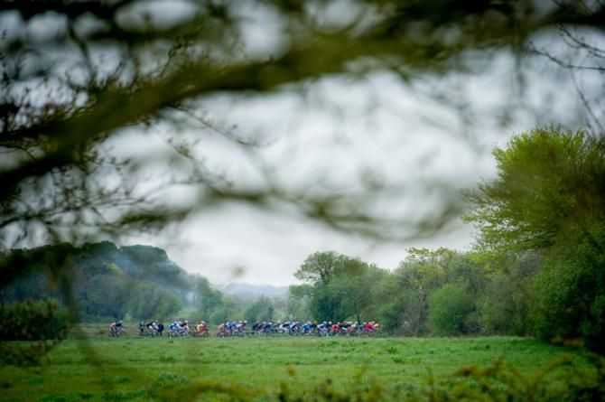 The peloton passing through the woods