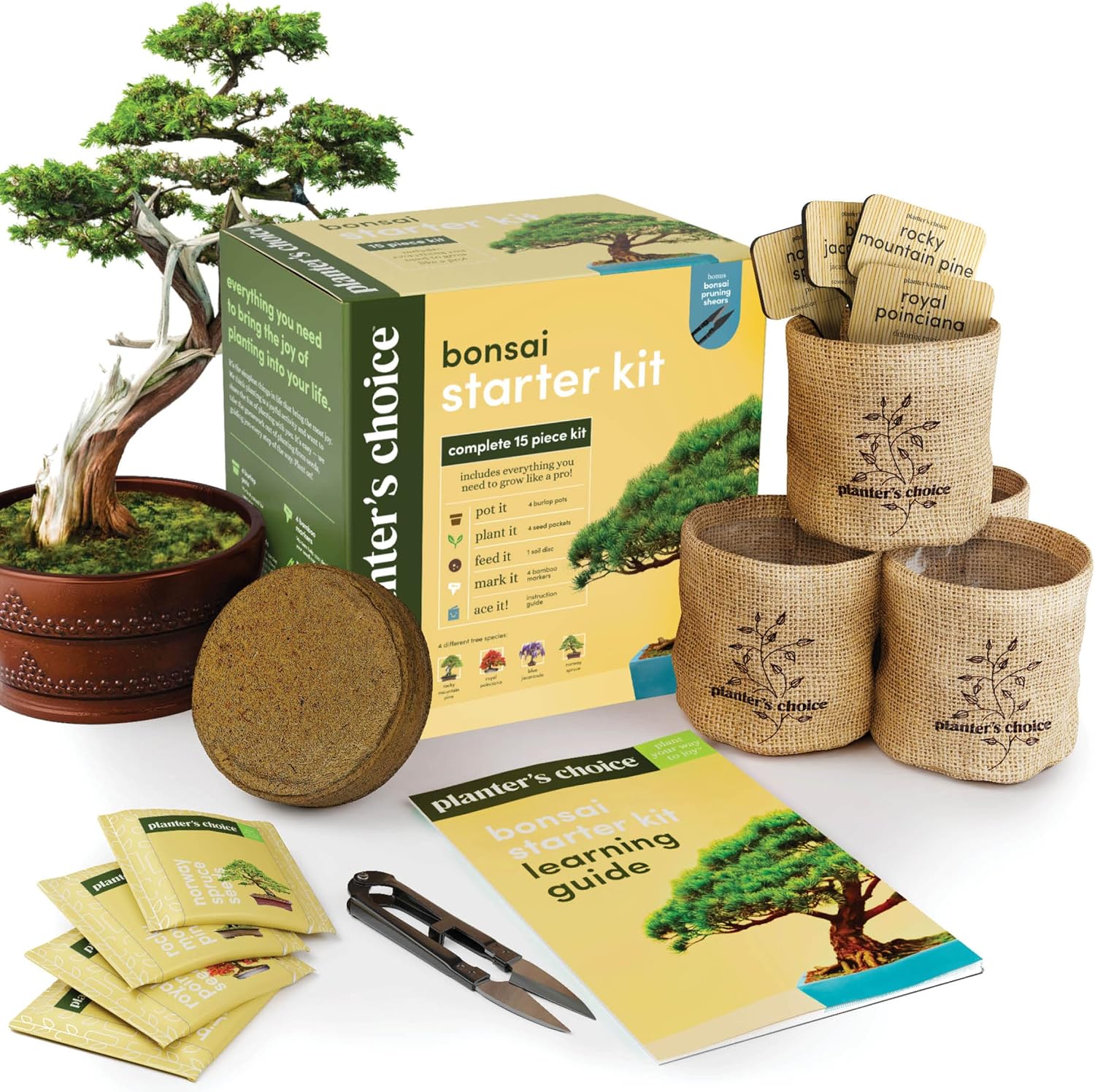 Bonsai Starter Kit - Gardening Easter Gift for Women &amp;amp; Men - Bonsai Tree Growing Garden Crafts Hobby Kits for Adults, Unique Diy Hobbies for Plant Lovers - Unusual Christmas Gifts Ideas