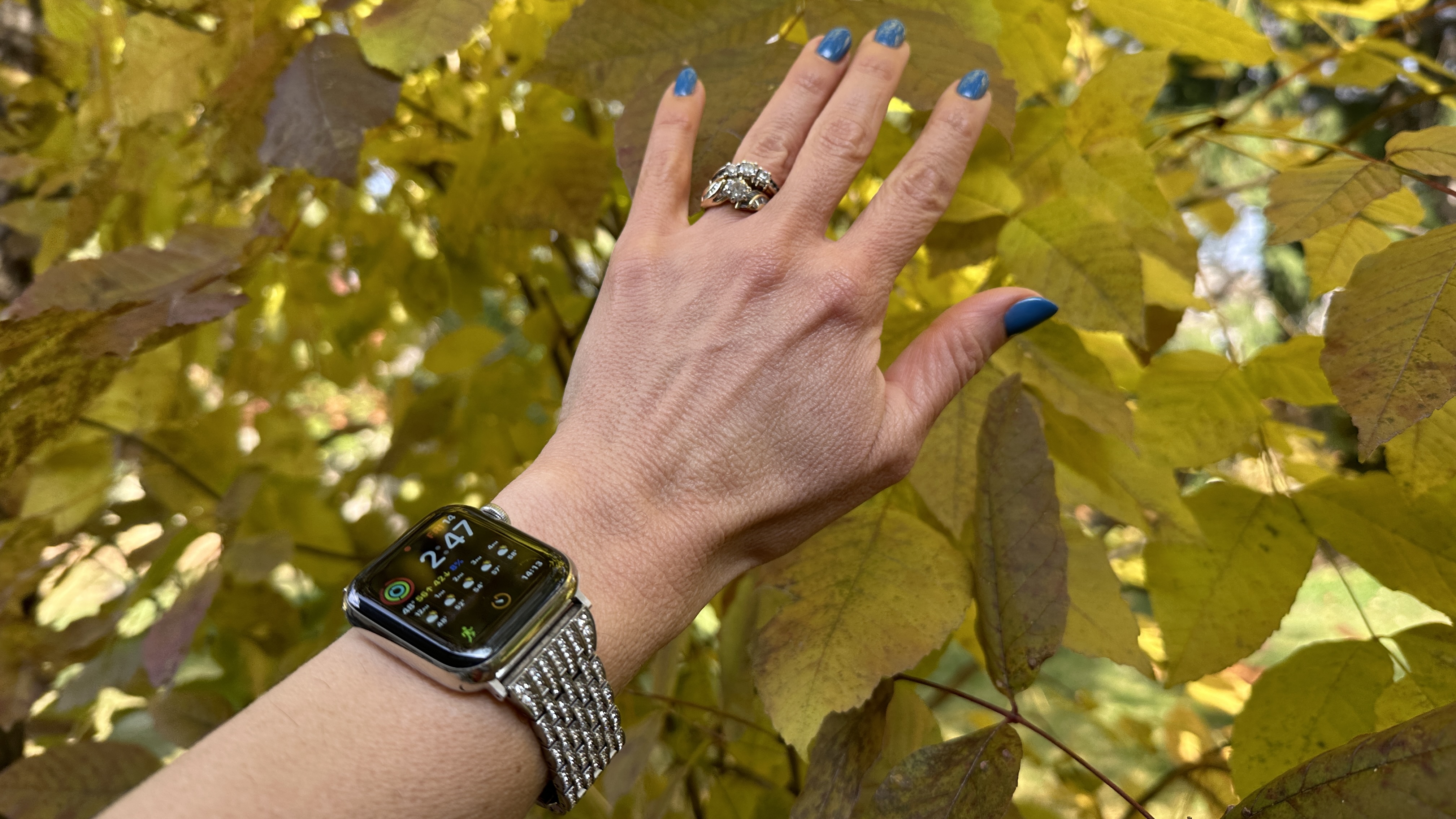 Apple Watch Ultra metal wristband. : r/AppleWatch