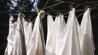 Sheets drying on a washing line