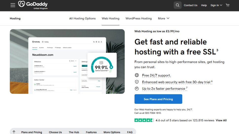 Website screenshot of GoDaddy (August, 2025)
