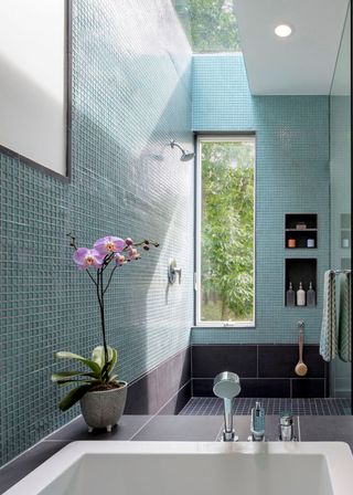 A bathroom with blue tiles all around and an orchid that sits on top of a bath tub.