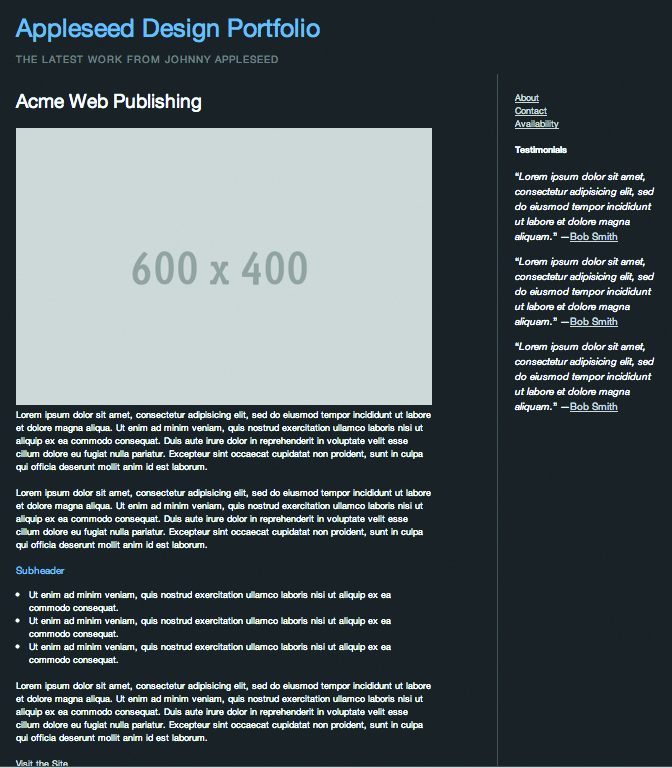 the static template for the individual project view