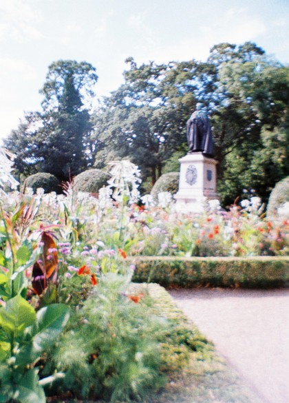 Lomo la sardina