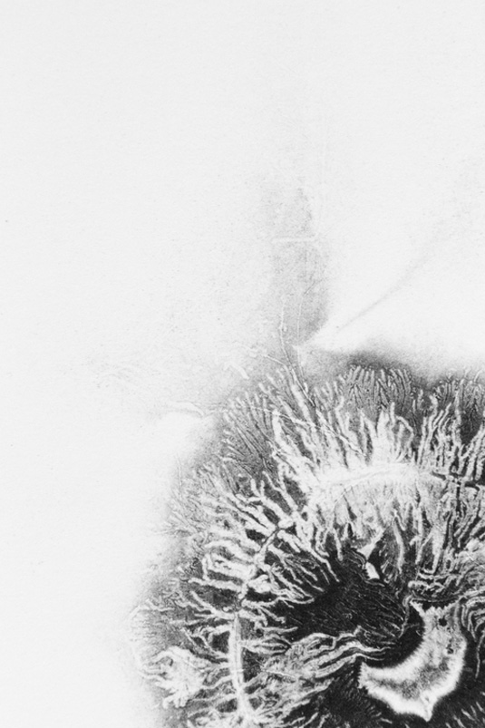 "I become a human Xerox printer, stripping back the Xerographic process to its basics," Evans comments