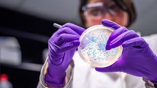 Lady scientist in microbiology laboratory working with E coli culture