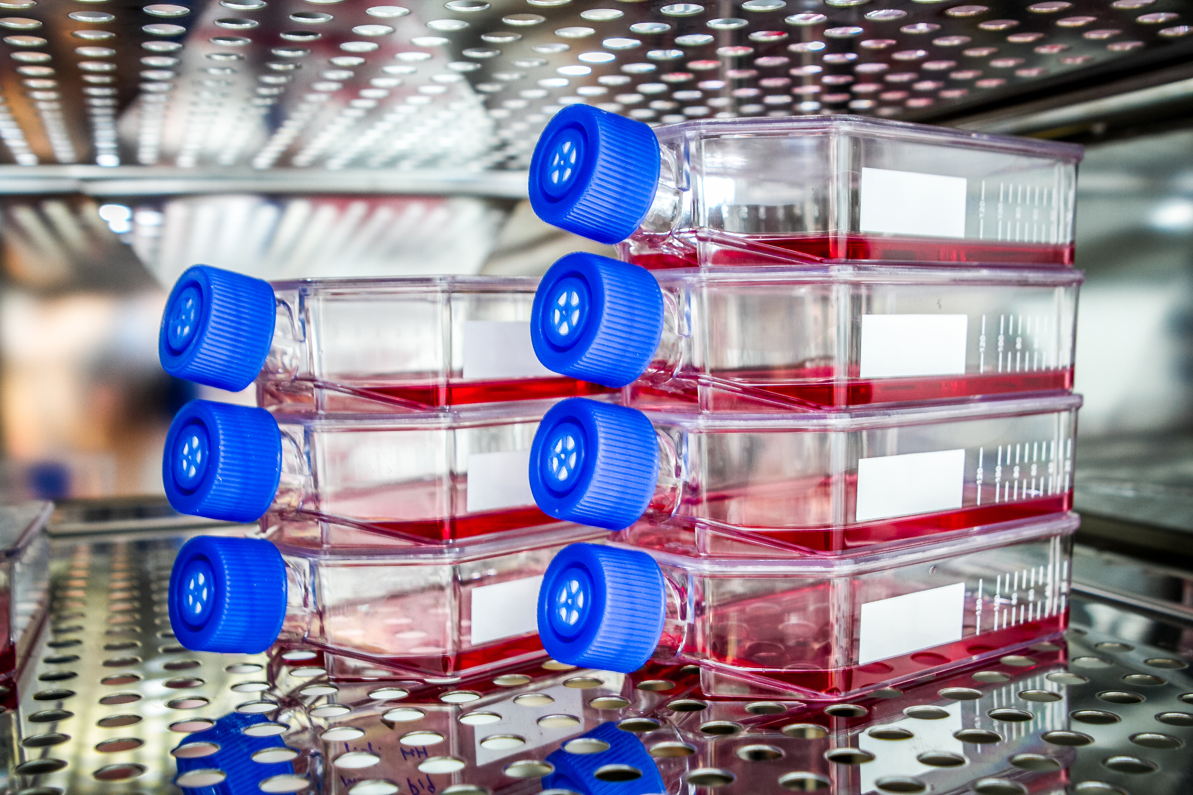 Stacked flasks of red liquid