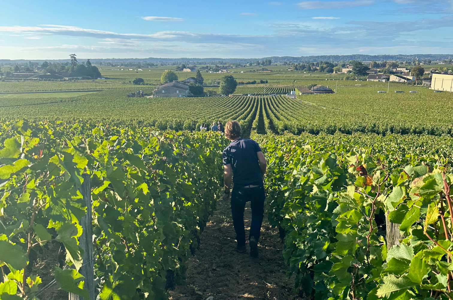 In the vines with Romain Bocchio and St&amp;eacute;phane Derenoncourt