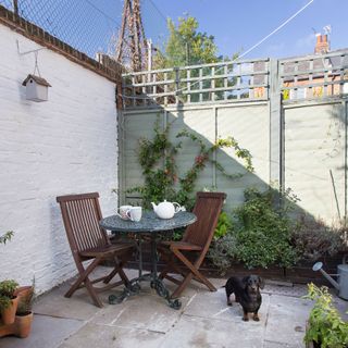 Weiner dog by outdoor dining furniture in garden courtyard with concrete patio