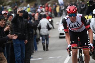 UAE Team Emirates US rider Brandon McNulty leads a breakaway during the 5th stage of the 80th Paris Nice cycling race 189 km between SaintJustSaintRambert and SaintSauveurdeMontagut on March 10 2022 Photo by FRANCK FIFE AFP Photo by FRANCK FIFEAFP via Getty Images
