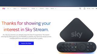 A TV screen showing a page for Sky Stream