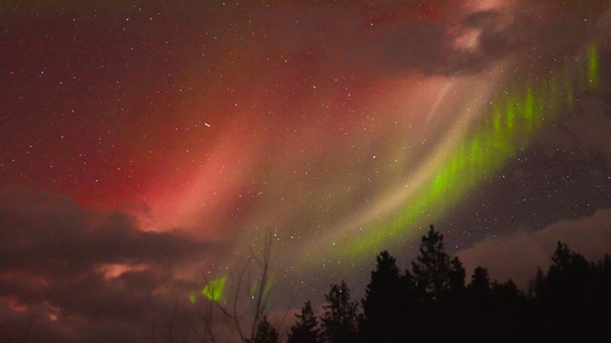 wispy streaks of oranges, reds, and greens stretch across the night sky
