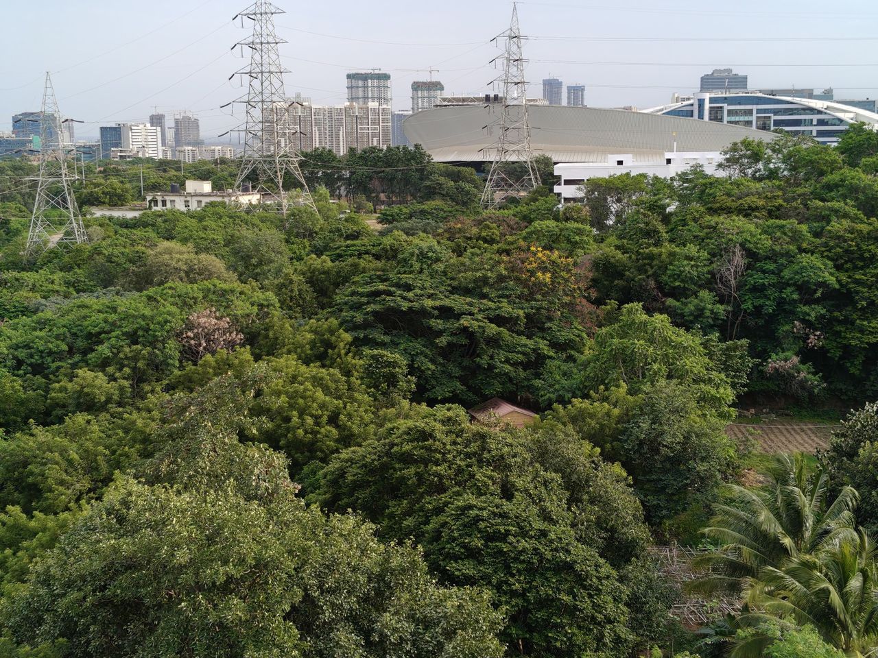 OnePlus Nord 4 camera shots