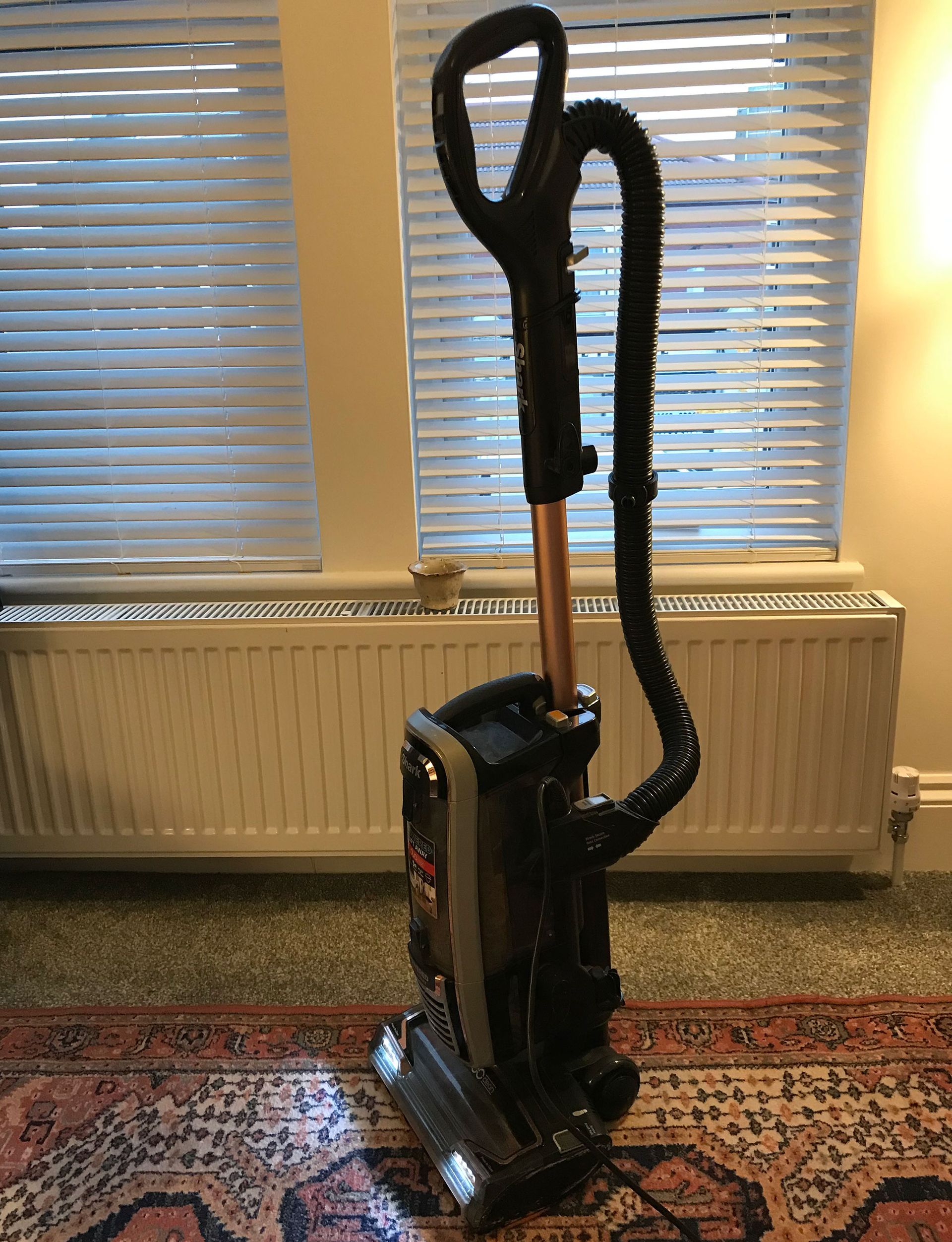 Model Hiu yang lebih tua