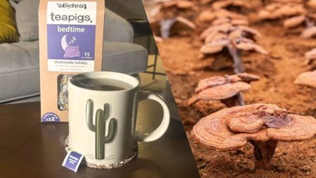 A mug with a brewed cup of resihi mushroom tea and a reishi mushroom tea box on a coffee table. 