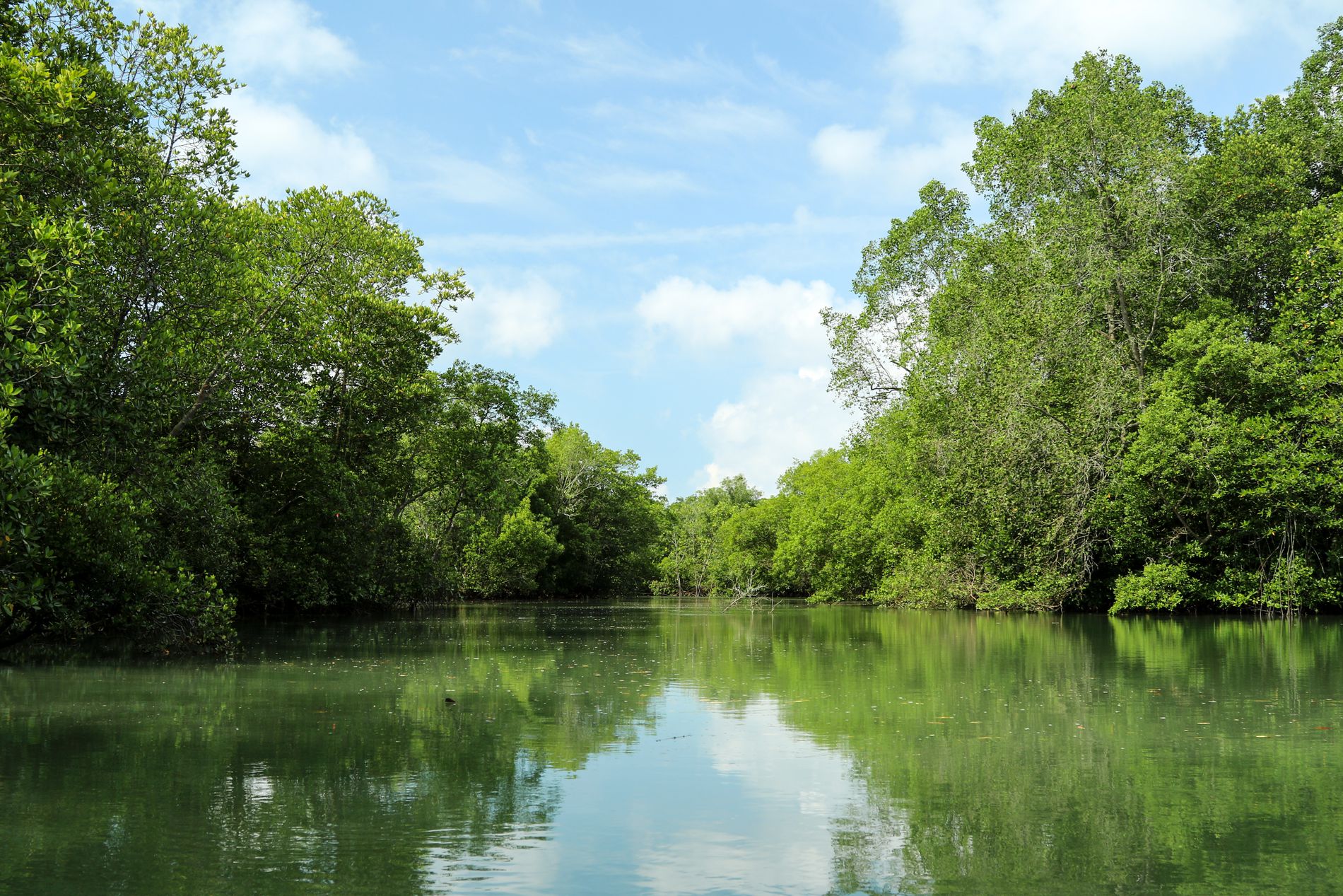 GuruShots - Nature&rsquo;s Masterpiece 2026