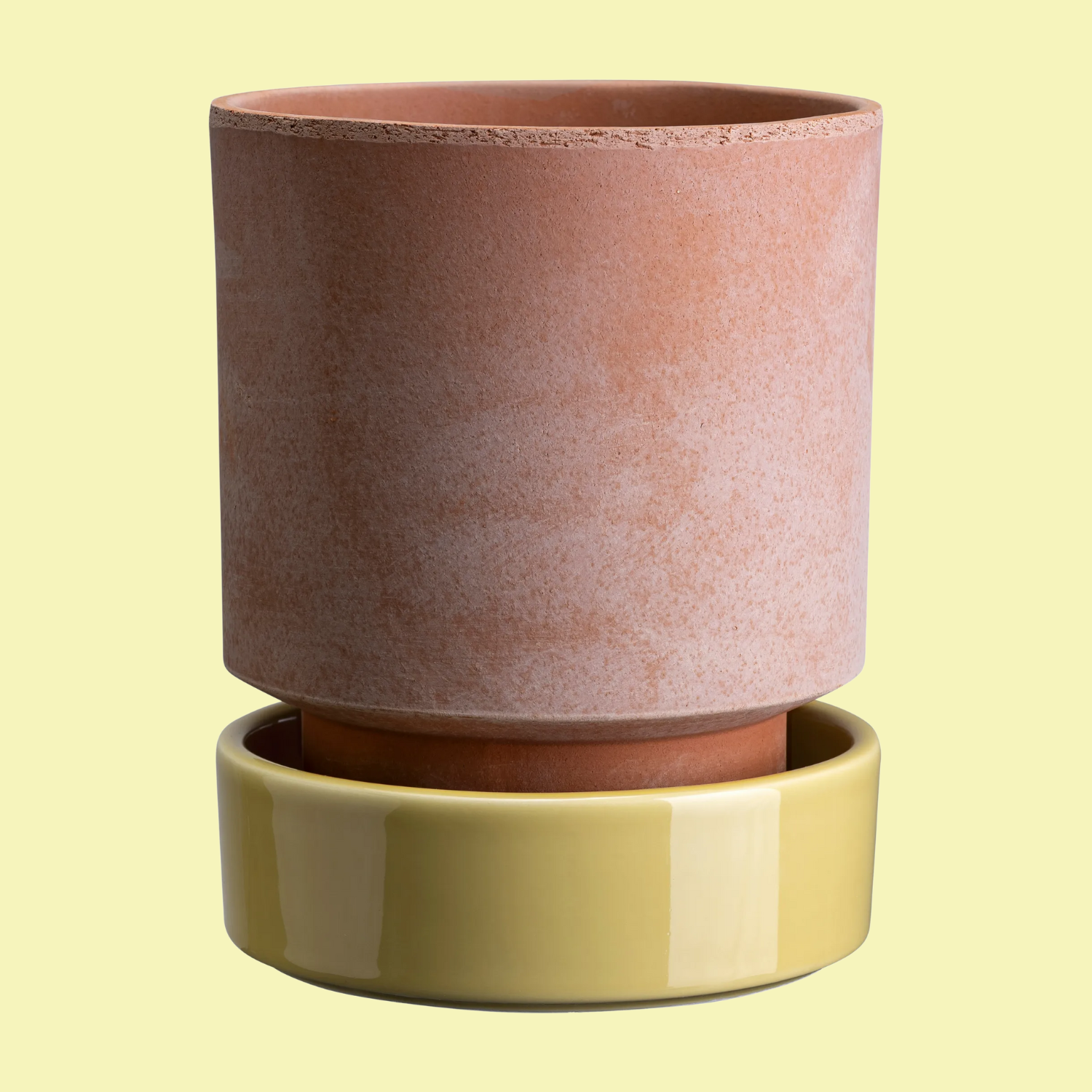 A terracotta planter with a butter yellow glazed saucer