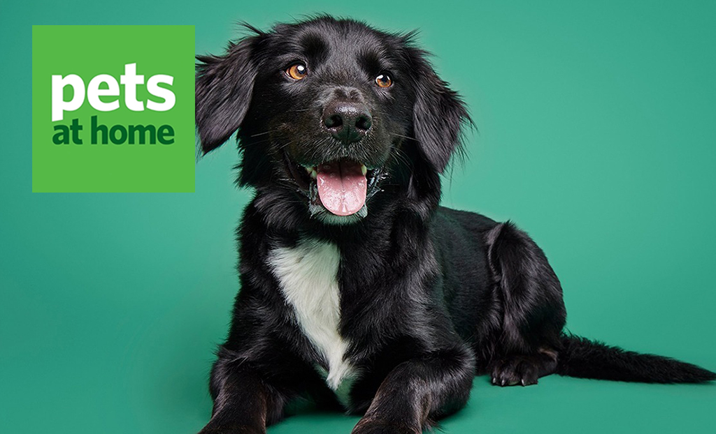 Pets at home logo top left with a picture of a black lab