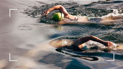 Two women swimming in open water with heads underwater and caps poking above as they utilize the benefits of swimming