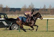 Abi-gallops.jpg