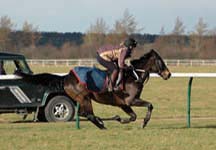 Abi-gallops.jpg
