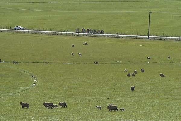 A bunch had formed at the front of the race approaching the turn-off to Poatina.