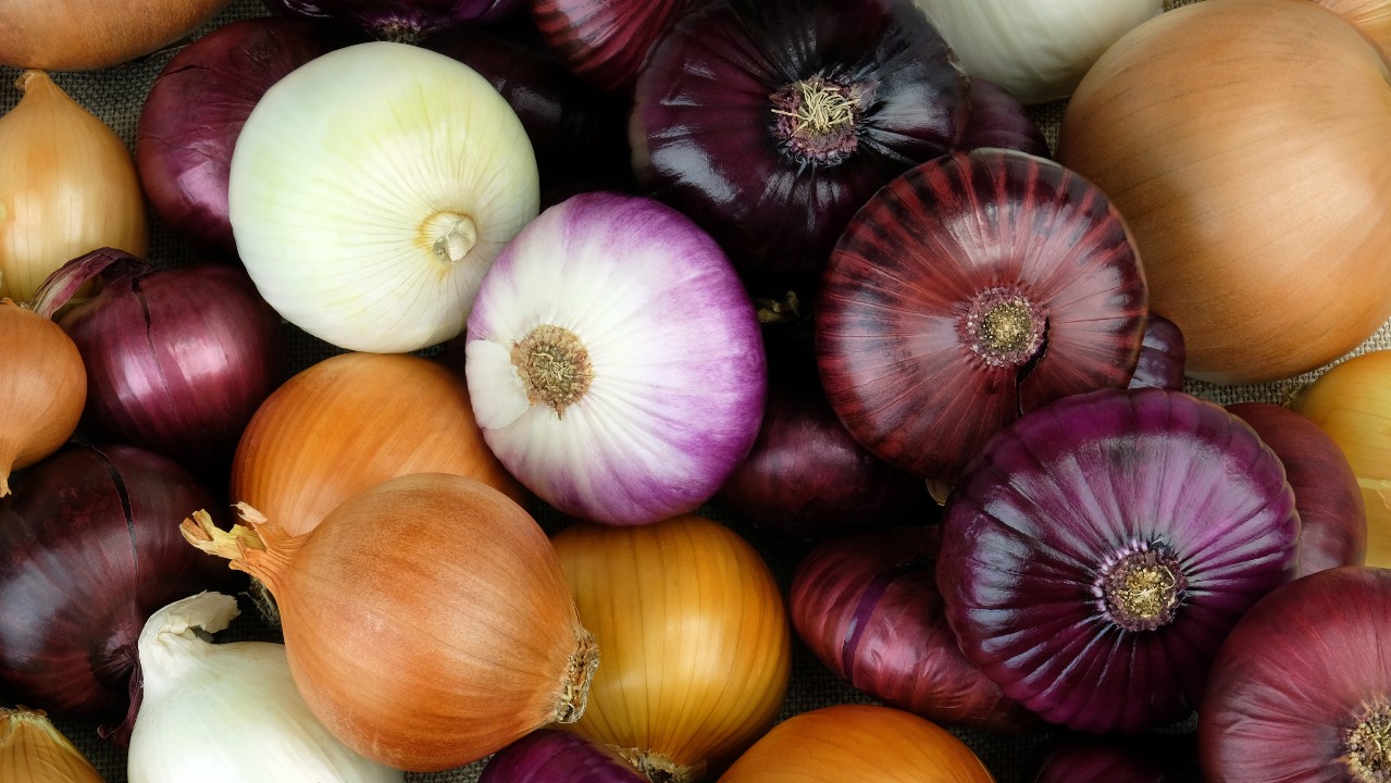  Shallots, 5 Pound, Freshly Harvested, Large to Medium