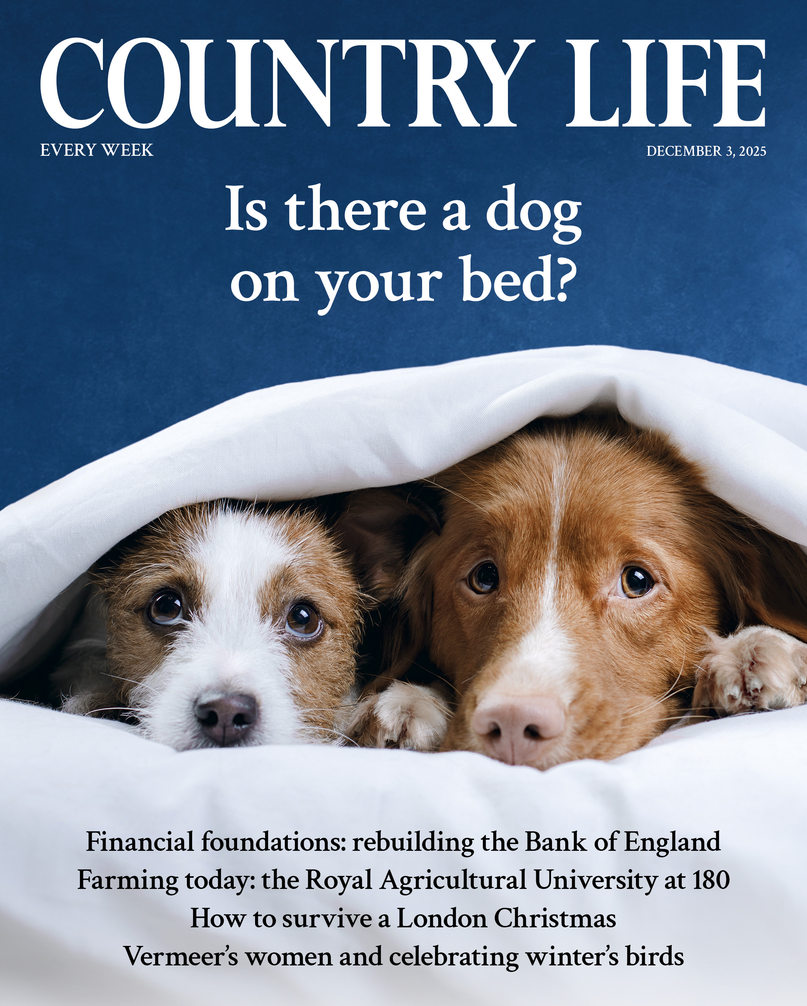 Cover of Country Life 3 December 2025