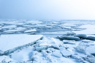 ice floes in an arctic sea