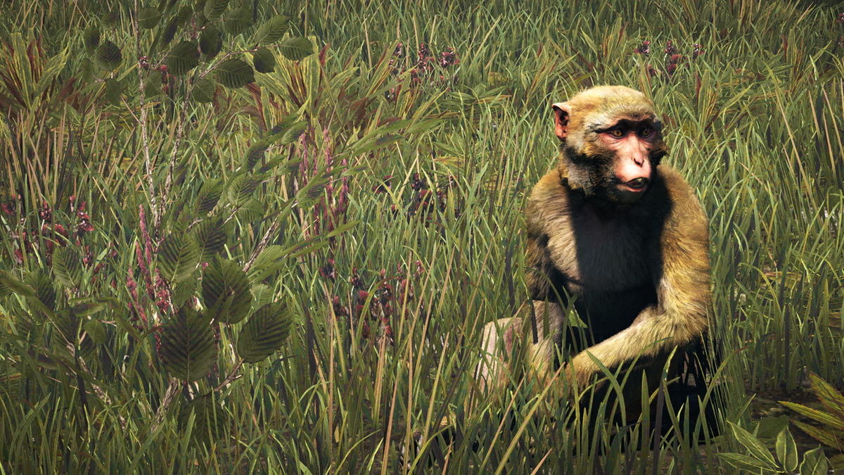 Far Cry 4 review in progress | PC Gamer