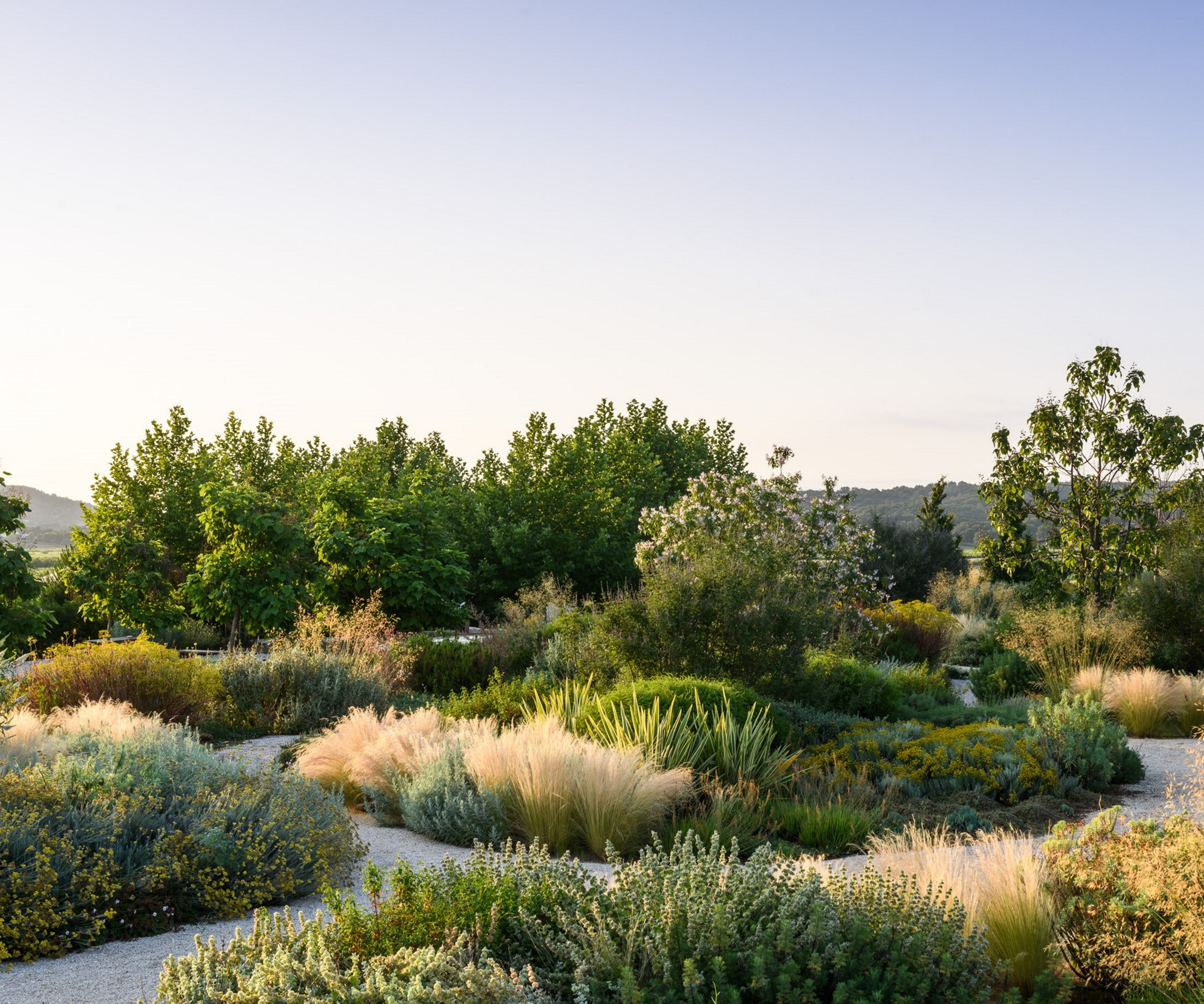 Garden design in Pistoia by Adam Hunt