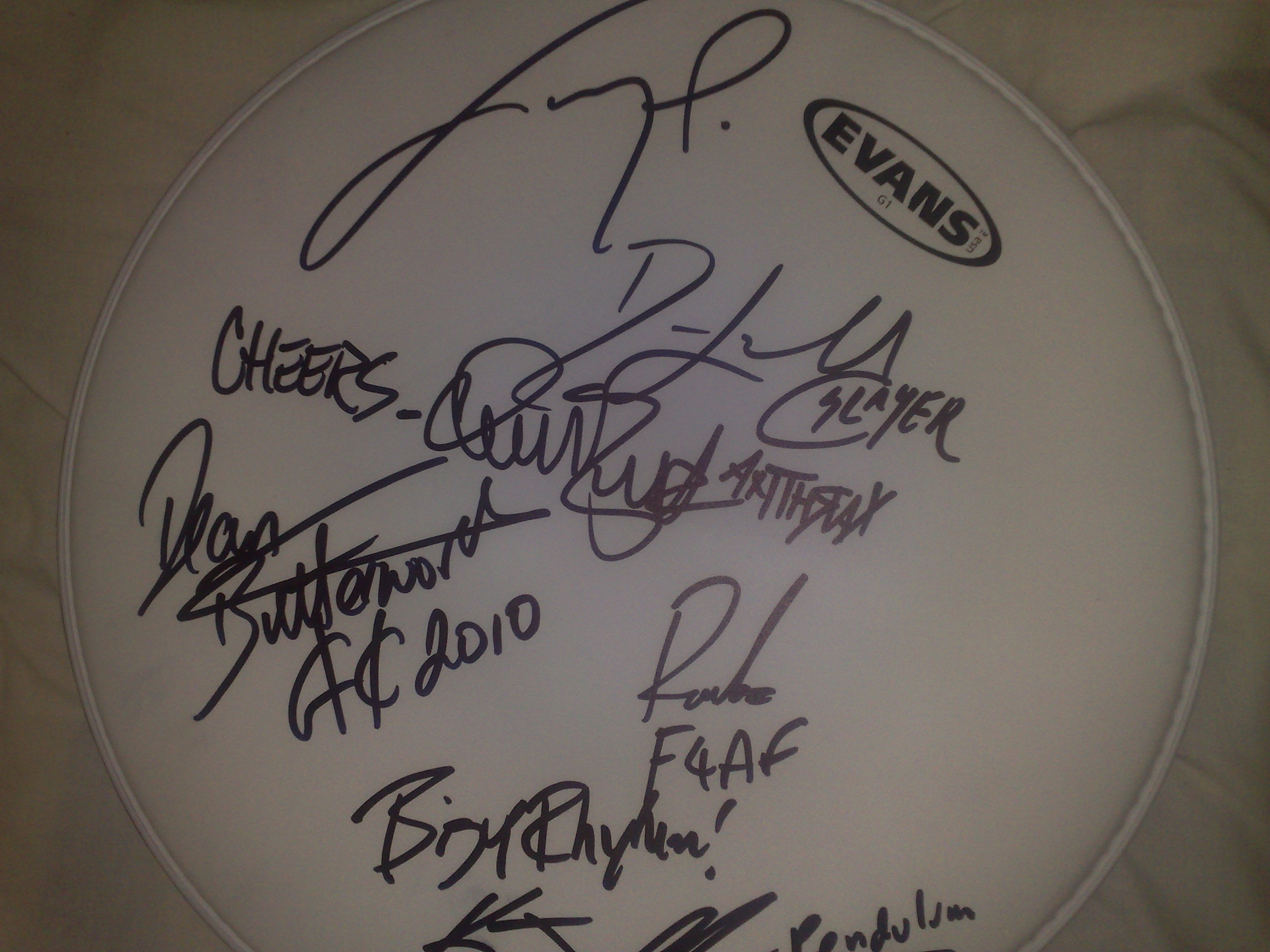 Drum head