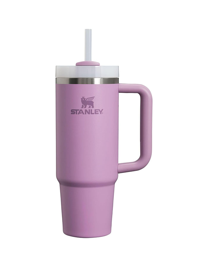 Stanley Quencher H2.0 Tumbler With Handle and Straw 30 Oz | Flowstate 3-Position Lid | Cup Holder Compatible for Travel | Insulated Stainless Steel Cup | Bpa-Free | Soft Orchid
