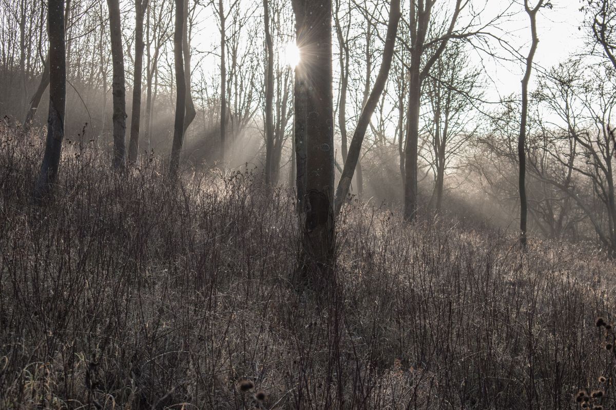 Dynamic range is good - it's possible to recover a good amount of detail in both the shadows and highlights