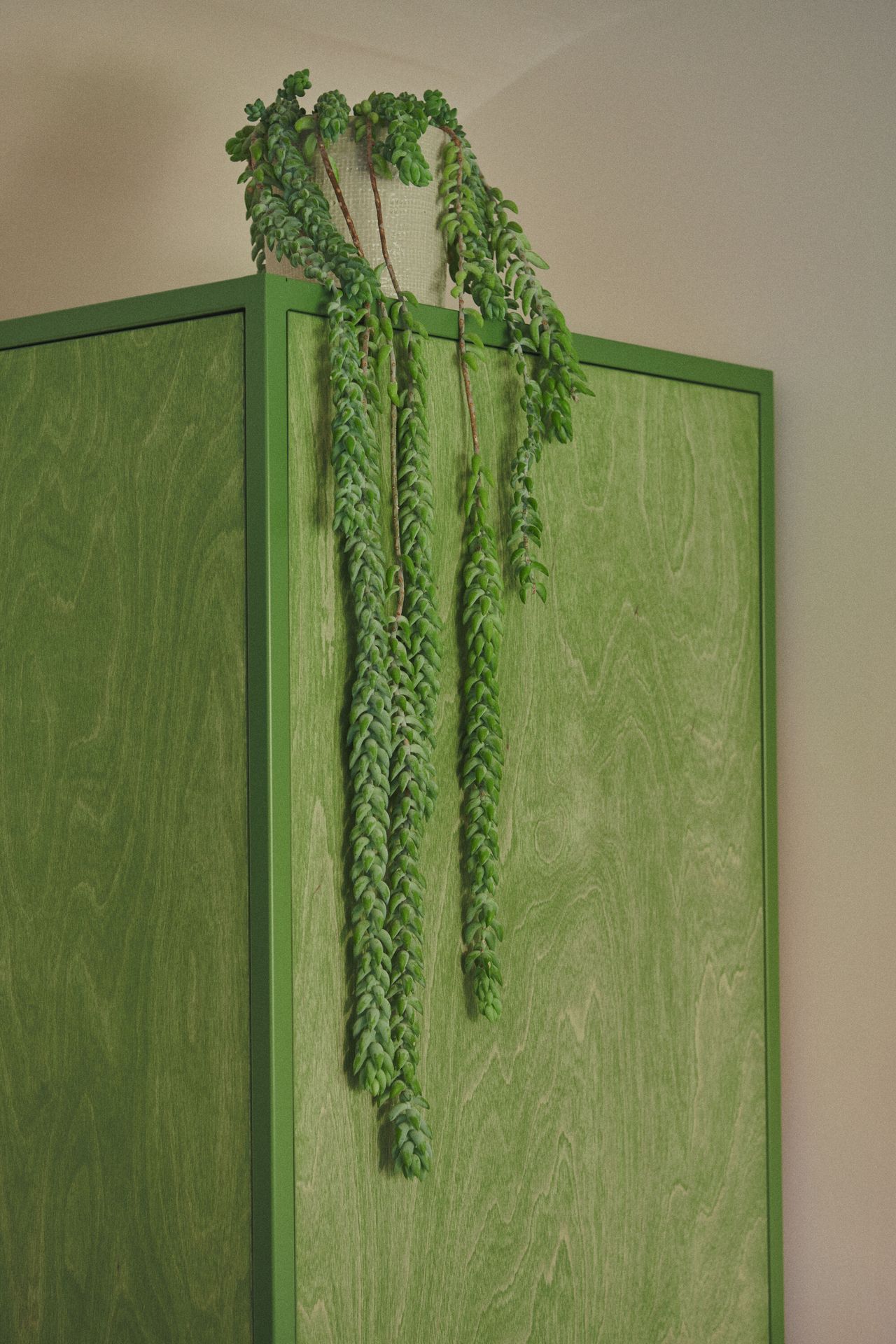 Close up image of cabinetry that is stained in a green wood stain. There is a plant in a white pot with long vines hanging down the cupboard.