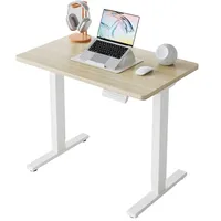 Huanuo Small Electric Standing Desk Huanuo Small Electric Standing Desk