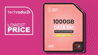 1000GB data SIM