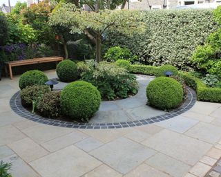 round patio planted up with evergreens including box buxus