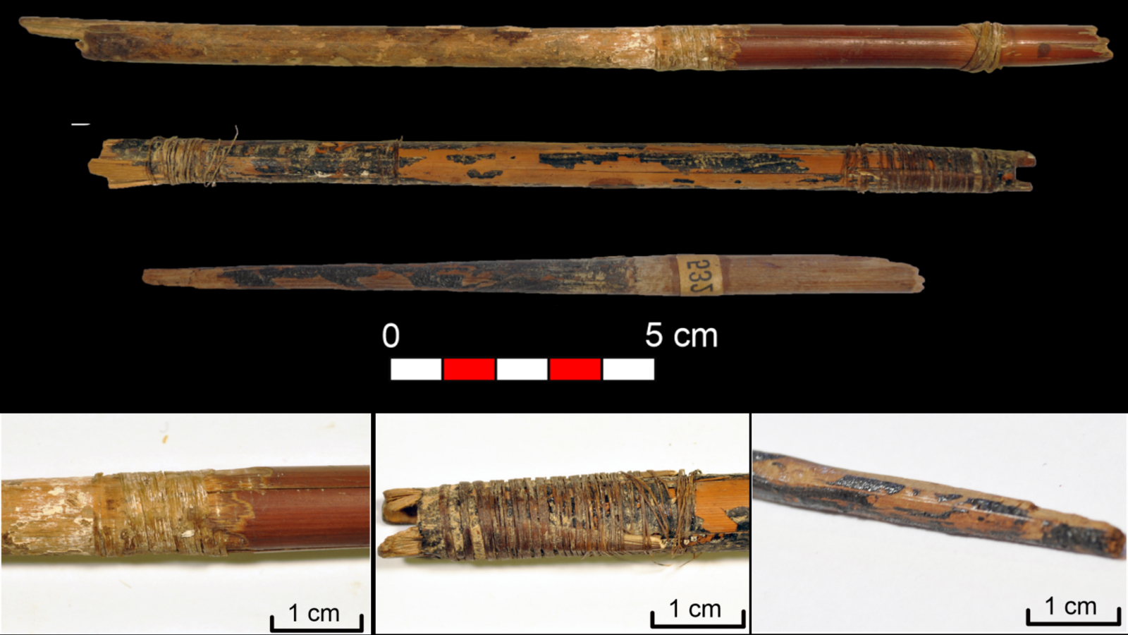 Oldest sinew bowstrings ever found in Europe have been hiding in Spain’s ‘Bat Cave’ for 7,000 years