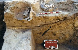 Donkey mandible and ceramic vessels found near donkey burial.