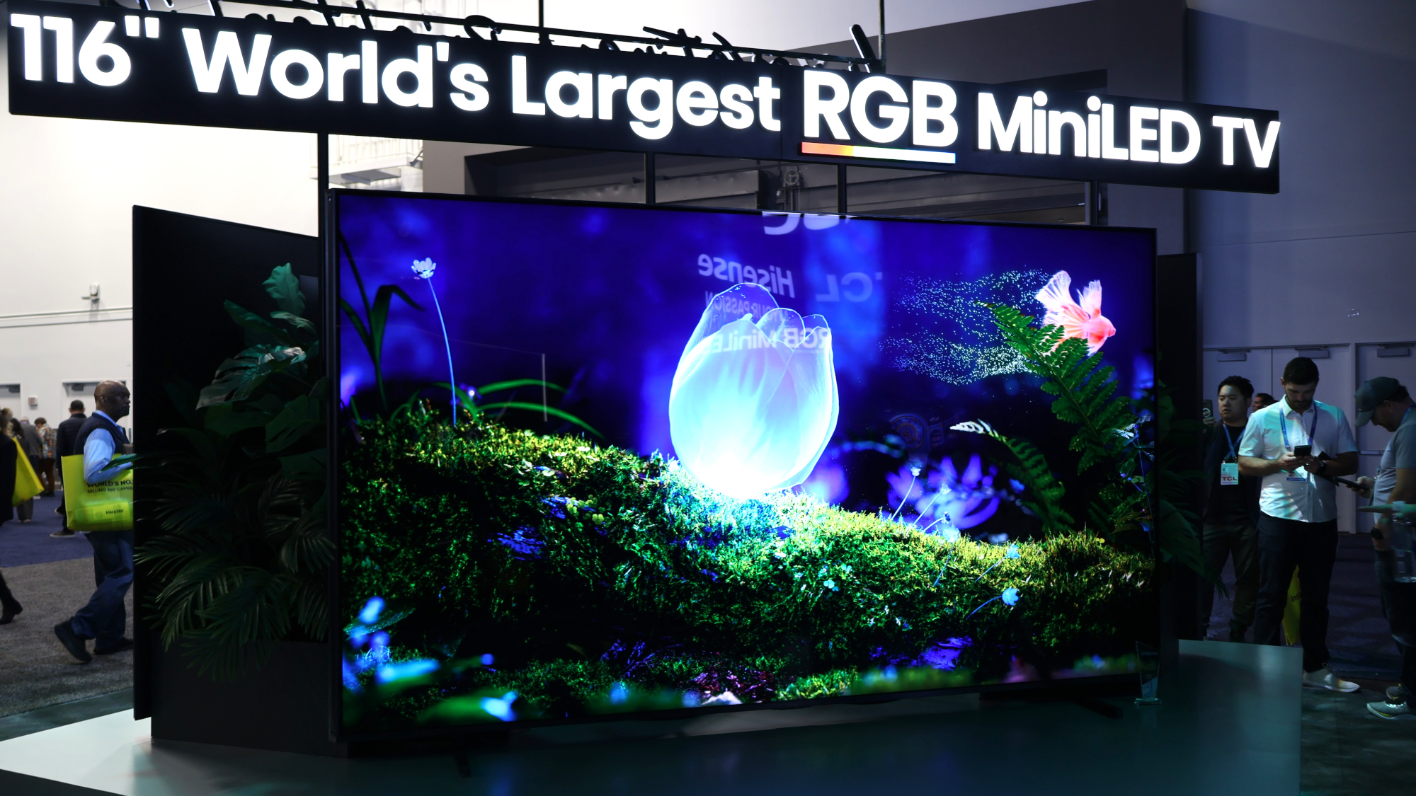 The Hisense RGB Mini-LED 116UXS at CES 2026.