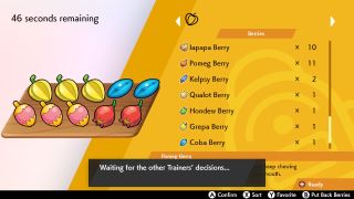 Pokemon Sword and Shield Cooking Curry with Berries