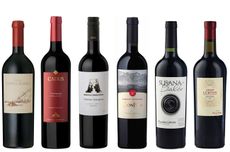 best Argentinian Cabernet Experts Choice