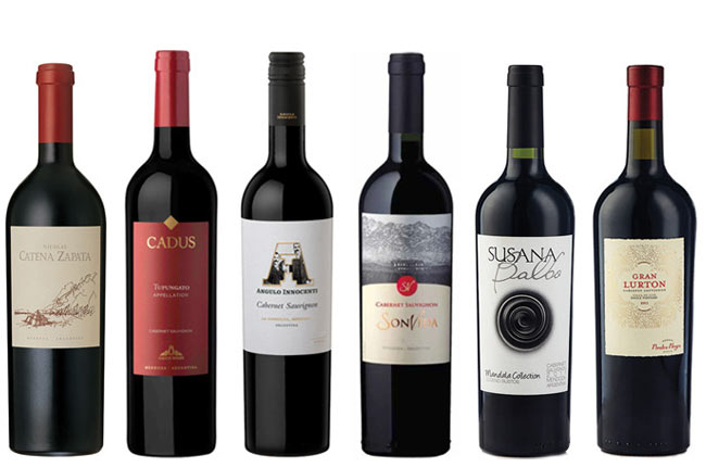 best Argentinian Cabernet Experts Choice