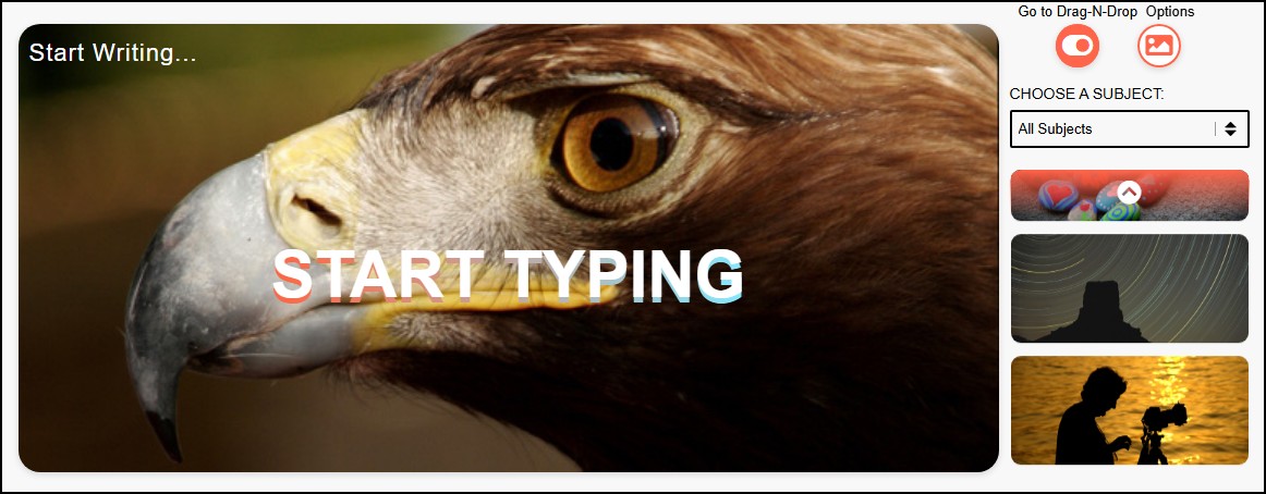 Freestyle PIC-LITS photo of eagle