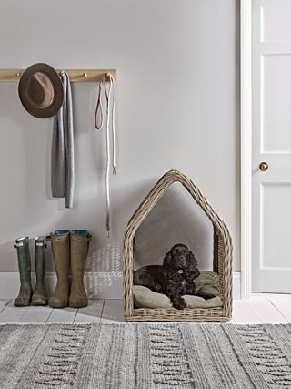 mudroom with dog bed and peg rail